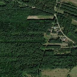 Satelita