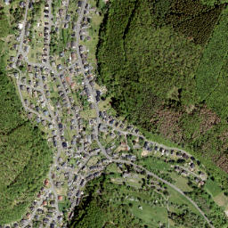 Niederdreisbach map(satellite map)