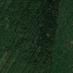 Powiat janowski map(satellite map)