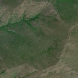 Priargunskiy Rayon map(satellite map)