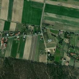 Satelita