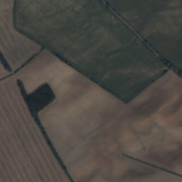 Satelita