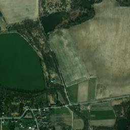 Satelita