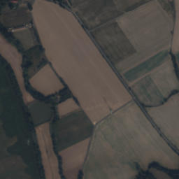 Satelita