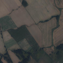 Satelita