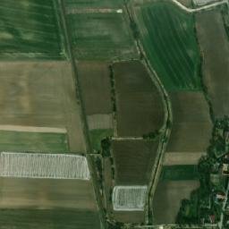 Satelita