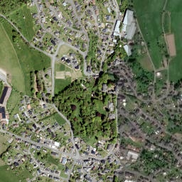 Friedewald map(satellite map)