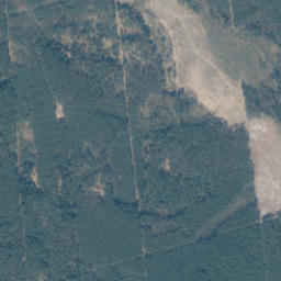 Satelita