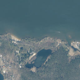 Satelita