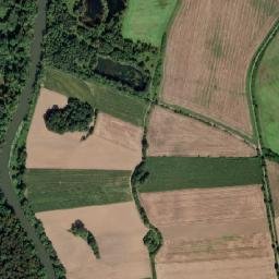 Satelita