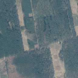 Satelita