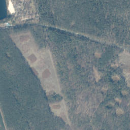 Satelita