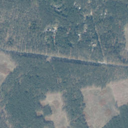 Satelita