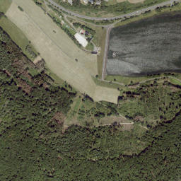 Bischoffen map(satellite map)
