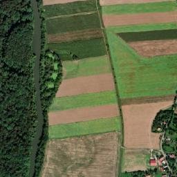 Satelita