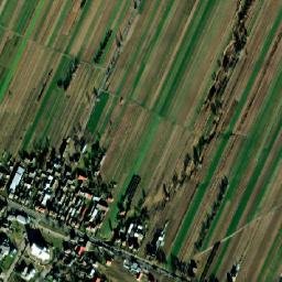 Dzwola map(satellite map)