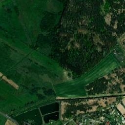 Satelita