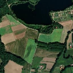 Satelita