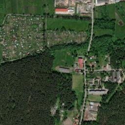 Satelita
