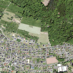 Nister map(satellite map)