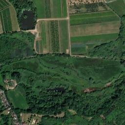 Newchurch map(satellite map)