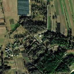 Satelita