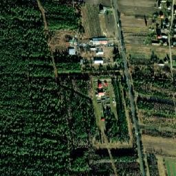 Satelita