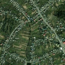 Novi Petrivtsi map(satellite map)
