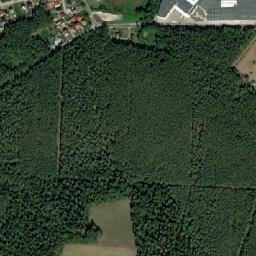 Satelita