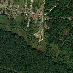 Satelita