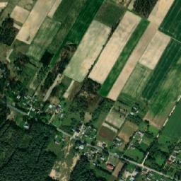 Satelita