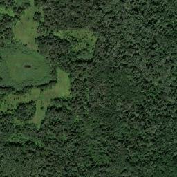 Brovary Raion map(satellite map)