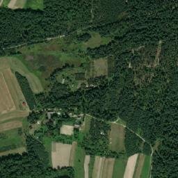 Satelita