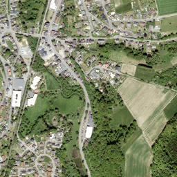 Raubach map(satellite map)