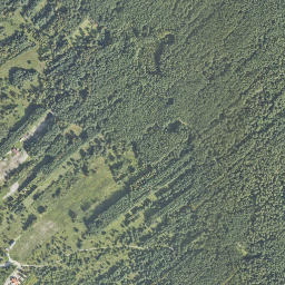 Satelita