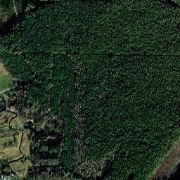 Satelita