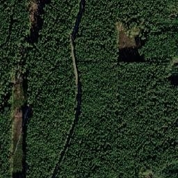 Satelita