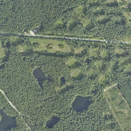 Satelita