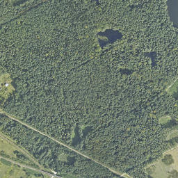 Satelita