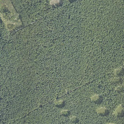 Satelita