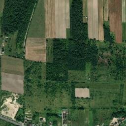 Satelita