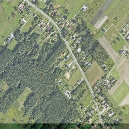 Satelita