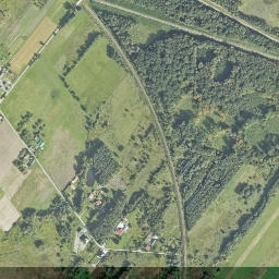 Satelita