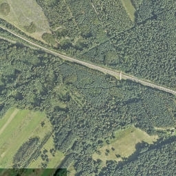 Satelita