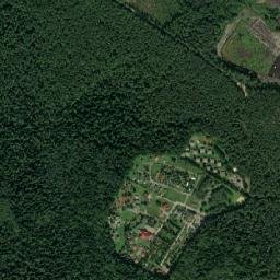 Satelita