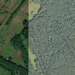 Satelita
