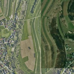 Satelita