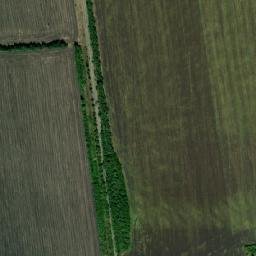 Podgorenskiy Rayon map(satellite map)