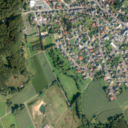 Wallmerod map(satellite map)