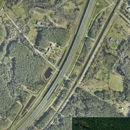 Satelita